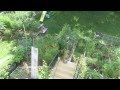 Late June Garden Update: Aerial View & Perennial ...