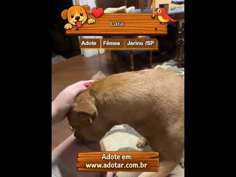 Vídeo de Lara