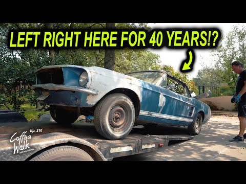 RESCUED: 1967 Mustang S-Code! Parked here in 1982!
