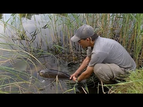 Greater Rod Race|Finale Full Episodes