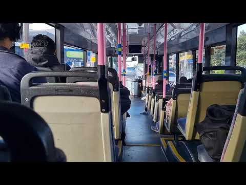 Out N About Buses m/o 8009 - Mercedes Benz O405NH (Slipping ZF)