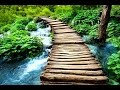 Zen Meditation Music, Soothing Music, Relaxing Music Meditation, Zen, Binaural Beats, ☯2587 Zen Meditation Music, Soothing Music, Relaxing Music Meditation, Zen, Binaural Beats, ☯2587