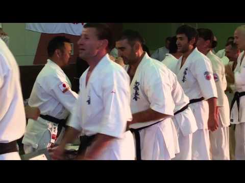 World Karate Seminar, 2015 nov, Fudjiyama, Japan