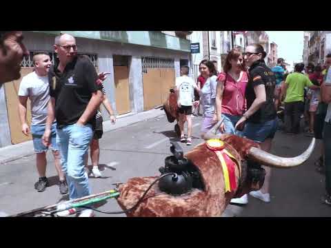 Supersónico encierro de Ana Isabel Vicente en los Corpus de Vitigudino