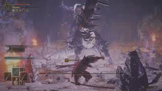 ELDEN RING - Fallingstar Beast vs. Me &amp; Lonewolves