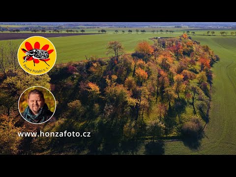 Náhled pro video reference