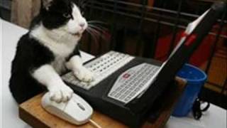 Jaco Pastorius - Okonkole y Trompa