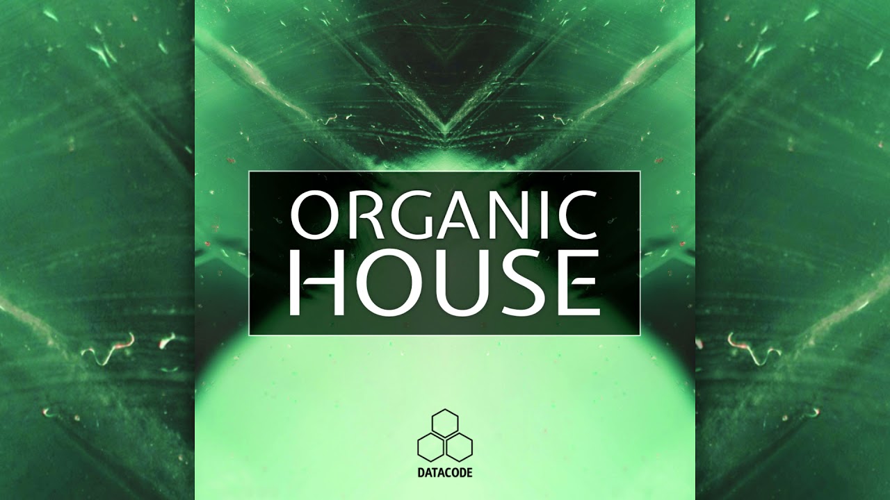 Datacode - FOCUS: Organic House (Sample Pack Preview)