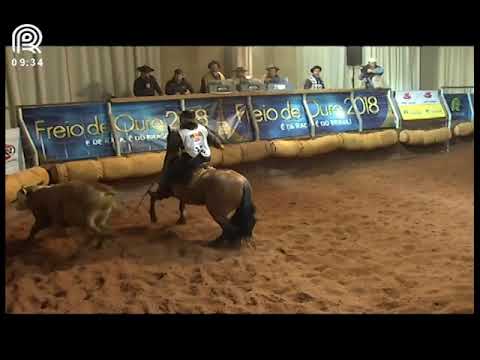 Classificatória Região Sul – 3° lugar fêmeas – Fortuna do Carapuça (Prova: Mangueira II)