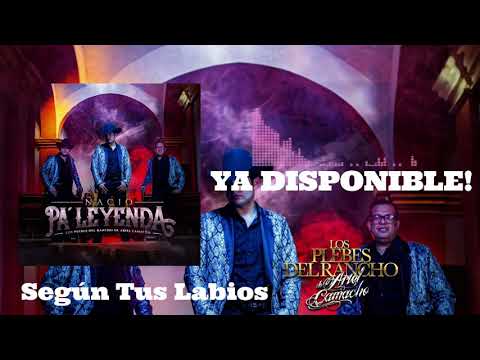 Los Plebes del Rancho de Ariel Camacho - Según Tus Labios (Audio Oficial)