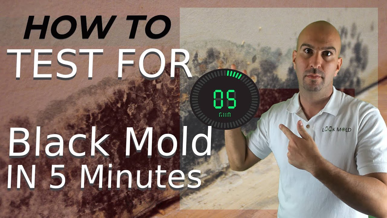 How To Test For Black Mold In 5 Minutes 🧪