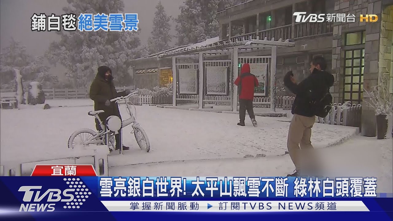 雪亮銀白世界!太平山飄雪不斷 綠林白頭覆蓋