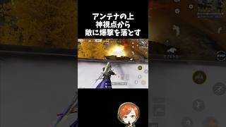 神視点から敵の位置を完全に把握して爆撃を落とすｗｗ【#荒野行動】# Knives Out  #荒野アプデ   #荒野鬼滅の刃コラボ #荒野夏祭り #超武装対決