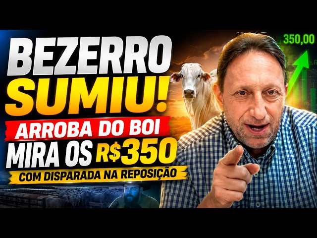 Bezerro Sumiu! Arroba do Boi Mira os R$350 com Disparada na Reposição.