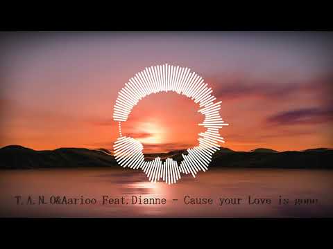 T.A.N.O&Aarioo Feat. Dianne - Cause your Love is gone.