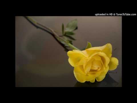 Poster meri nigah main