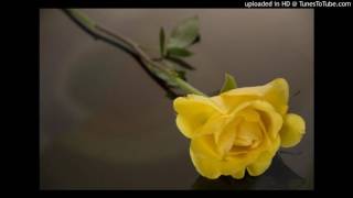 Poster meri nigah main