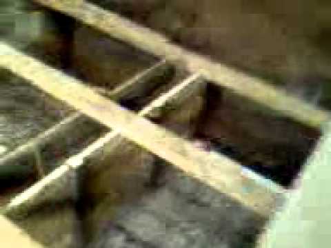 Construção casa feitio Céu da Nova Vida