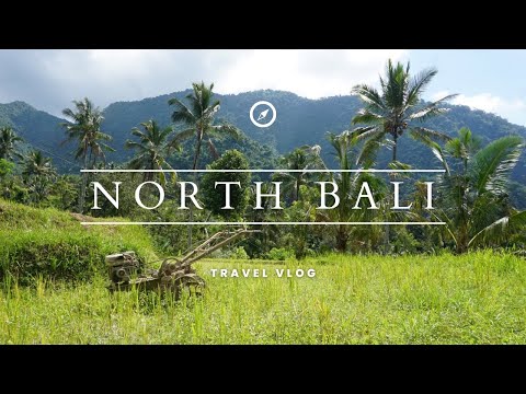 Discovering HIDDEN GEMS in NORTHERN BALI 🇮🇩⛰️
