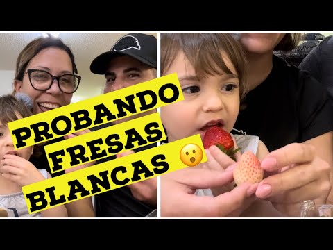 Comparando las fresas blancas con las rojas 🍓