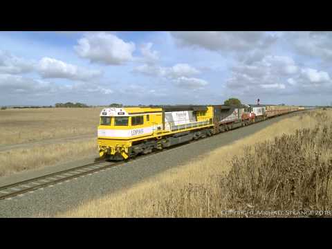 LDP005 leads SCT 3PM9 Boxcars & Containers Train - PoathTV Australian Railways