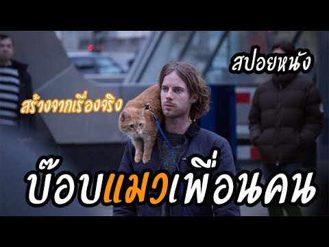 ชายคนนี้สามารถเลิกยาได้เพราะเเมวอ้วนสีส้ม [สปอยหนัง] A street cat Named Bob (2016)