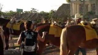 preview picture of video 'Zip and Horseback Riding Selvatica'