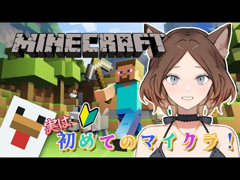 【Minecraft】ネザー要塞の為の装備の為の司書ガチャの為の醸造の為のブレイズパウダーがネザー要塞にあるからつまり?⑪【マイクラ】