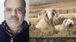 مربو الماشية يتخوفون من ارتفاع أسعار الأضاحي بسبب تداعيات الحرب في إيران