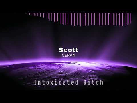 Martin Solveig VS Dave McCullen - Intoxicated Bitch (Scott Ceran Mashup)