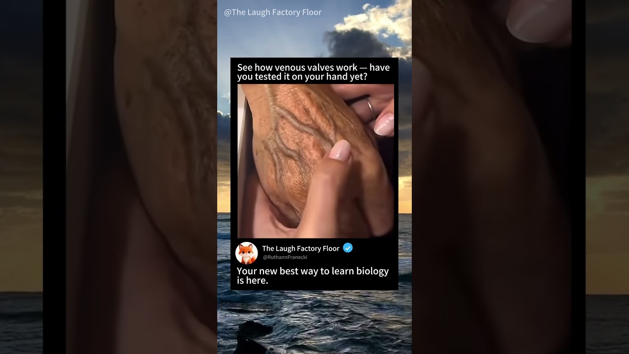 🫀 Observe how venous valves 🤚 work have you tried it 🩸 | MDCT