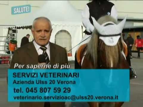 Un metodo efficace per aumentare la potenza Come fare eccitazione di una donna per i bambini