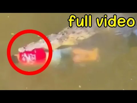 Crocodile Devours Soccer Player "Jesus Ortiz" in Costa Rica - Lesson Learnt