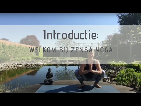 Introductie: welkom bij Zensa Yoga