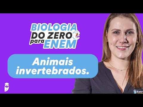 Animais invertebrados | Biologia do Zero para o ENEM