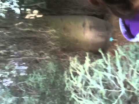 botanical garden with emily 11