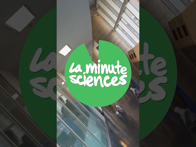 L&rsquo;équipe de La minute sciences