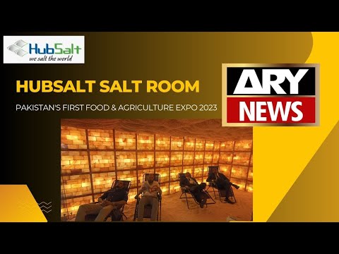 HubSalt FAMOUS PINK SALT ROOM coverage by ARY News at Pakistan's First Food & AGRI Expo 2023!