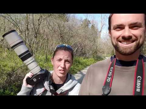 Our Bird Photography Gear (Camera and Lens Advice)