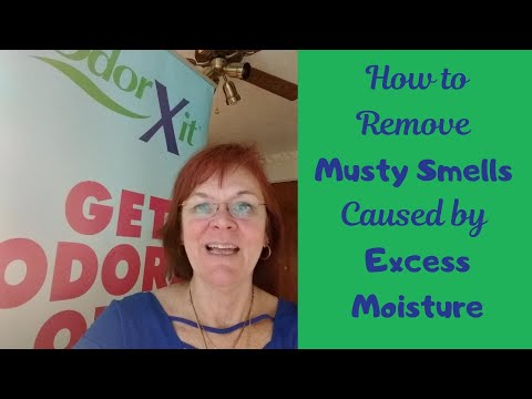 download lagu mp3 mp4 Get Rid Of Musty Smell In Wardrobe, download lagu Get Rid Of Musty Smell In Wardrobe gratis, unduh video klip Get Rid Of Musty Smell In Wardrobe
