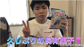 飼育菓子(つかめる不思議玉)❣️