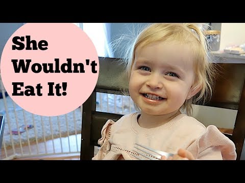 SHE HATED IT | DAY IN THE LIFE WITH 2 TODDLERS Video