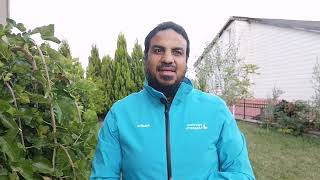 صورة النشاط والكسل.. /حسين عبد الرازق