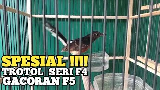 Download lagu DISMANTLED!!!! REGIONAL ACHIEVEMENT TRAITS mp3