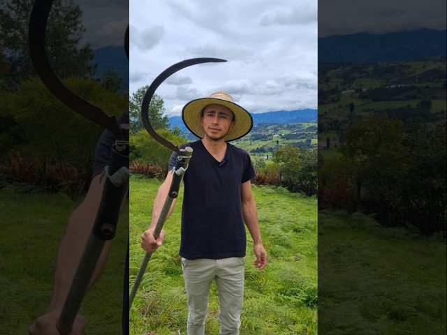 Vídeo relacionado con Tel Charme * Hoz de Limpieza de arbustos, Hoz de jardín, Hoz de Hierba, Hoz de Limpieza de Mano, Hoz de Mano de jardín Multiuso, Hoz de Hierba de jardín