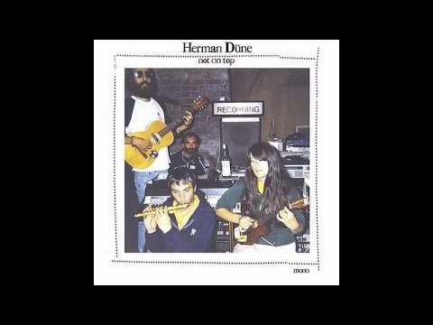 Herman Düne - This Will Never Happen