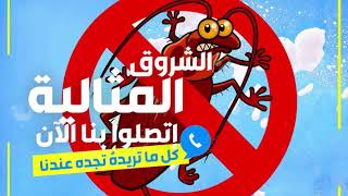 شركة مكافحة حشرات بالدمام 0507870744 الشروق المثالية