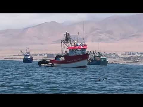 Paseo bote Ilo Moquegua Perú 🇵🇪💪