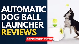 ✅ Best Automatic Dog Ball Launcher Reviews [ Real Buyers Rev
