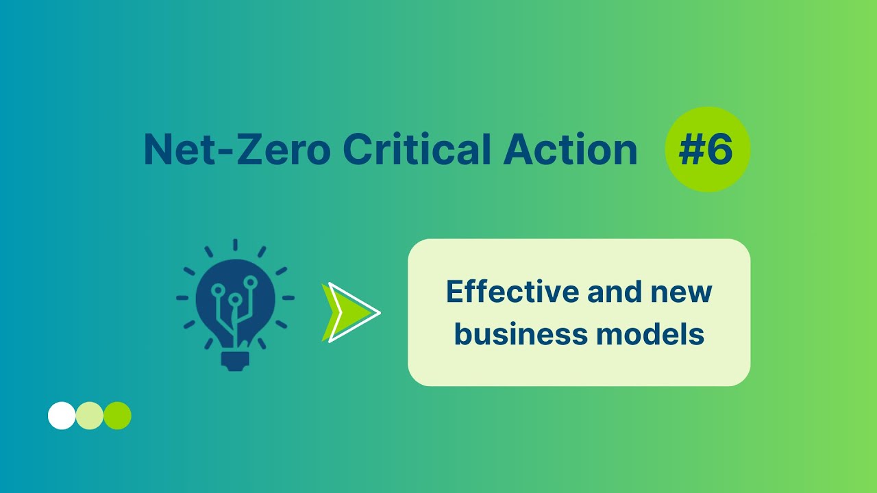 Critical action 6: Effective new business models